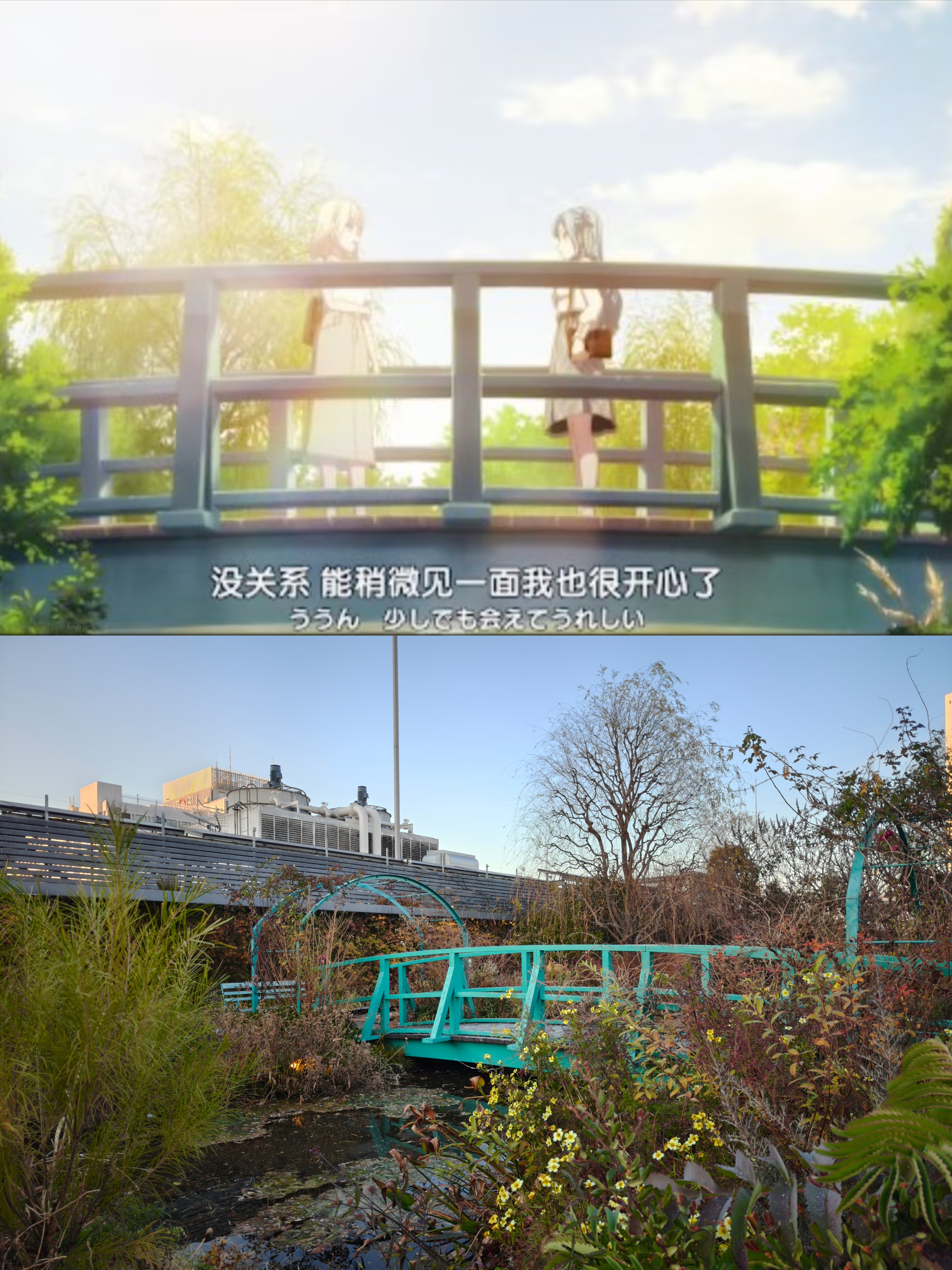 唉二次元，跑那么远只为了看这个